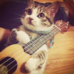 综合色就爱涩涩涩综合婷婷
